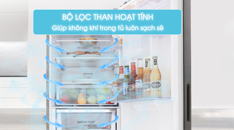 Bộ lọc than hoạt tính khử mùi thực phẩm - Tủ lạnh Samsung Inverter 307 lít RB30N4180B1/SV
